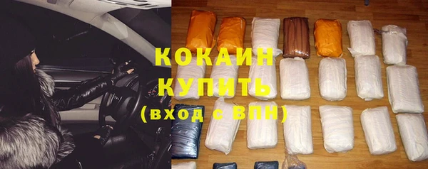 дурь Инсар