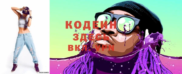 дурь Инсар