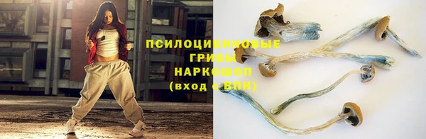 дурь Инсар