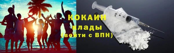 дурь Инсар