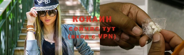 дурь Инсар