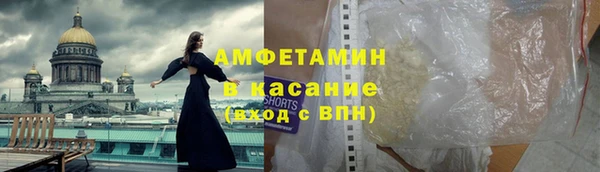 дурь Инсар