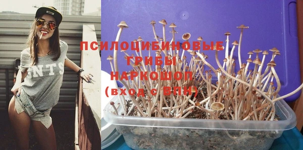 дурь Инсар