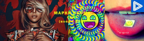 дурь Инсар