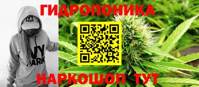 гашик Малгобек