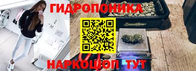 гашик Малгобек