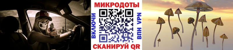 Псилоцибиновые грибы мицелий  Великий Новгород 