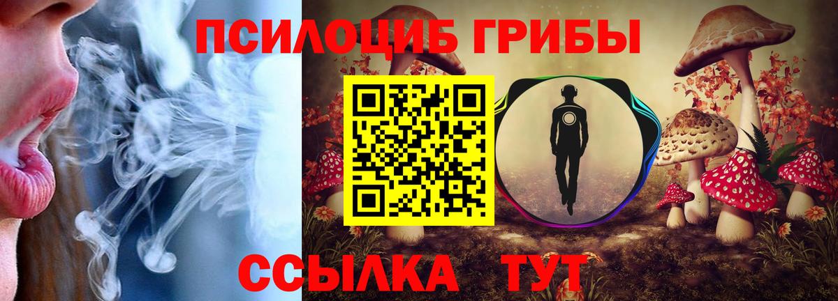 Псилоцибиновые грибы мухоморы  Вход с VPN  Великий Новгород  Галлюциногенные грибы мицелий 